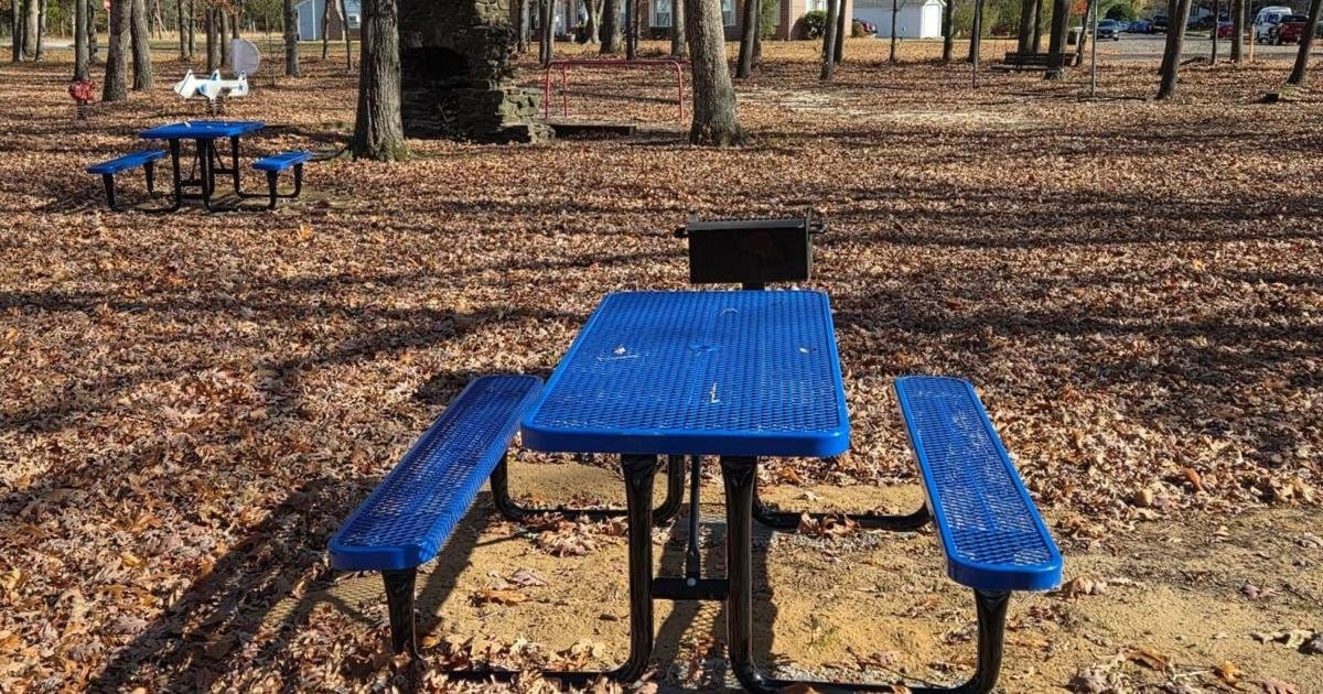 狮子俱乐部和童子军为钱伯斯公园带来新的野餐桌 | Lions Club, Boy Scouts bring new picnic tables to Chambers Park