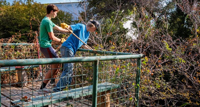振兴鸟屋公园的少年梦想：Kason Burchett的鹰级童子军项目 | Kason Burchett Works to Revitalize Bird House Park for Eagle Scout Project