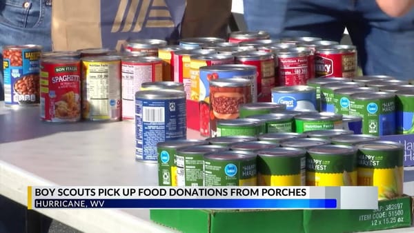 童子军参加“寻找食物”计划 | Scouts participate in 'Scouting for Food' program