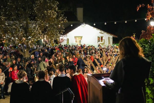 点亮皮埃蒙特！ | Lights Up Piedmont! Annual holiday light celebration returns Dec. 3