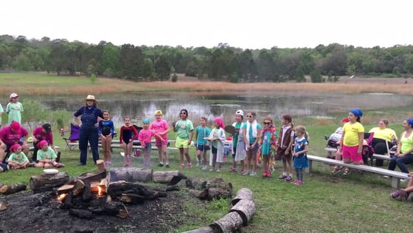 If I Were Not a Girl Scout