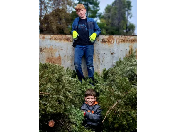 Dixon 社区开启十二月欢乐时光 | Dixon's Community Unwraps December Fun